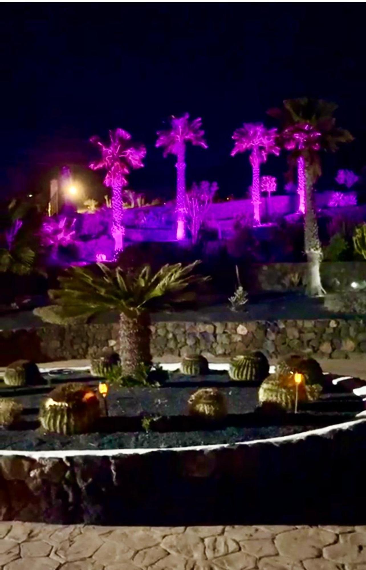 Castillo Lanzarote Villa Winni - Luxury Villa - Pet Friendly With Heated Pool La Asomada  Exteriör bild