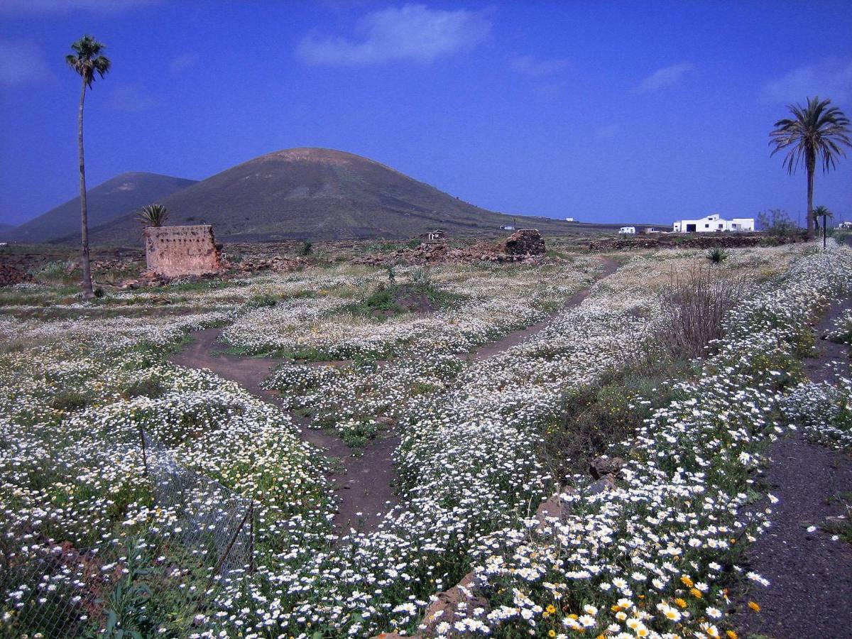 Castillo Lanzarote Villa Winni - Luxury Villa - Pet Friendly With Heated Pool La Asomada  Exteriör bild