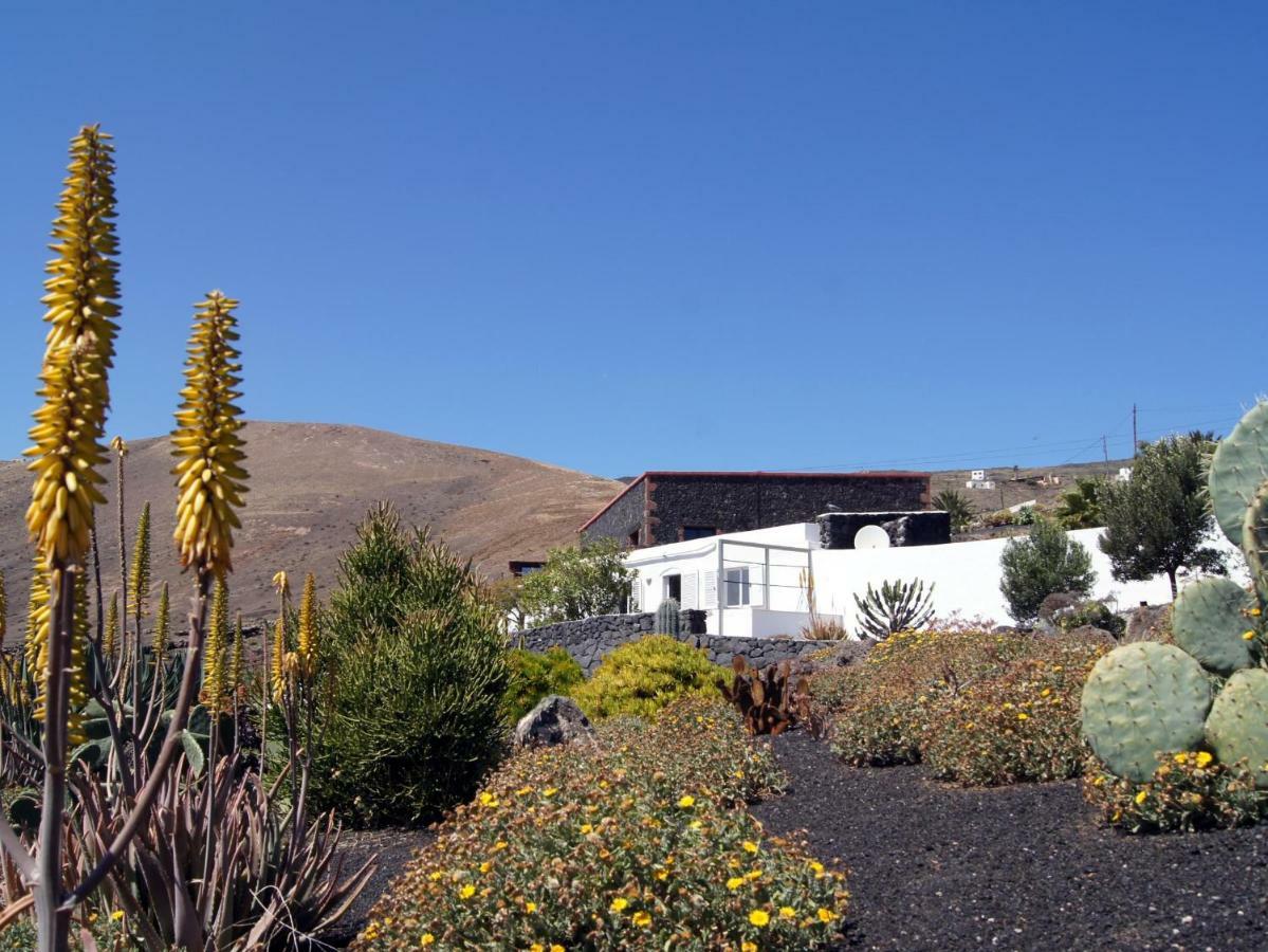 Castillo Lanzarote Villa Winni - Luxury Villa - Pet Friendly With Heated Pool La Asomada  Exteriör bild