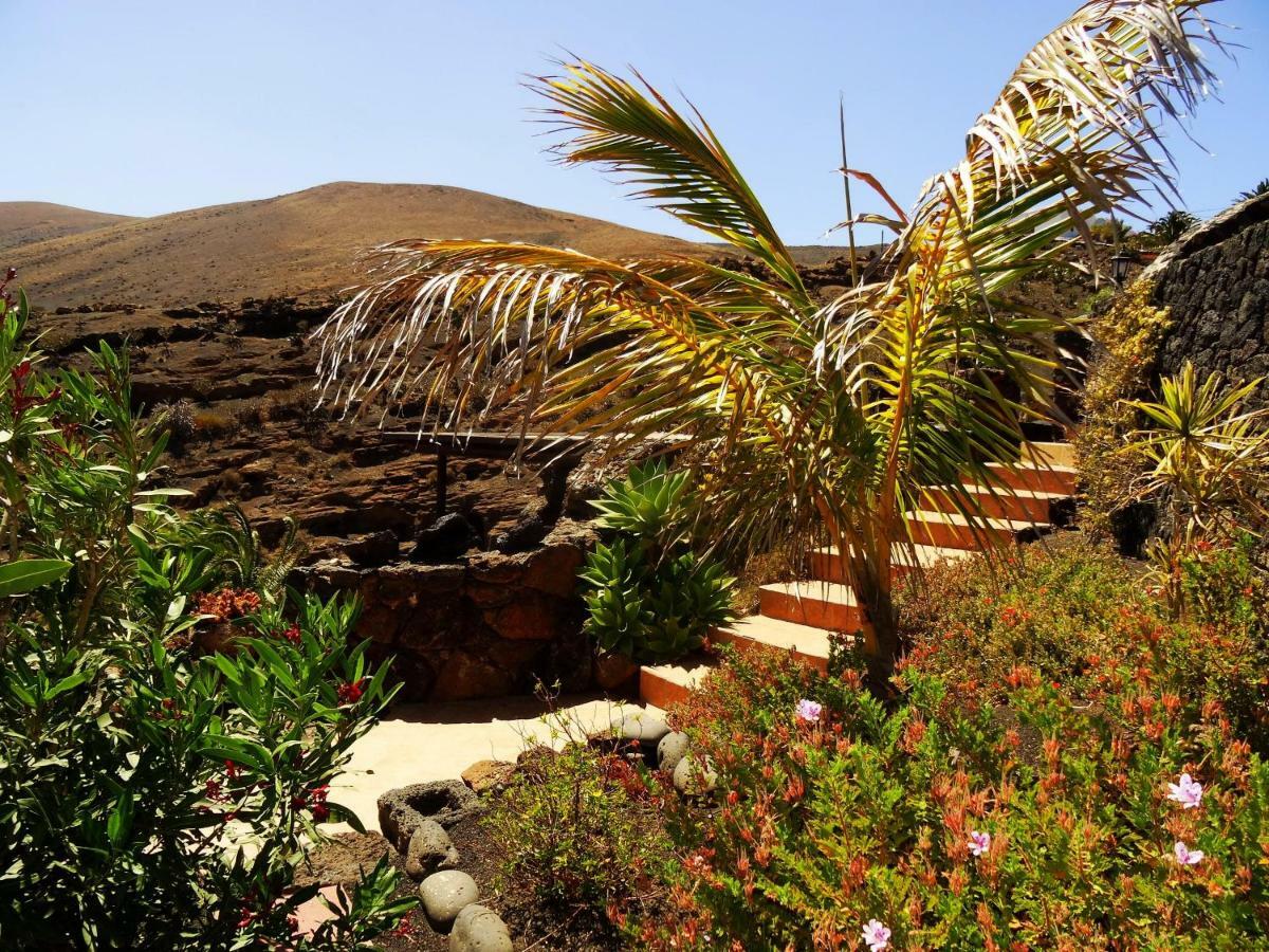 Castillo Lanzarote Villa Winni - Luxury Villa - Pet Friendly With Heated Pool La Asomada  Exteriör bild